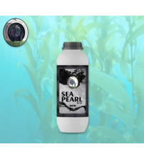 Sea Pearl - 500 ml